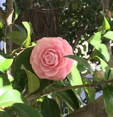 今年も最高の優しい笑顔(^^)