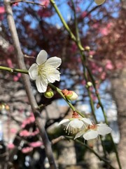 神社にて。。