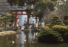 平塚八幡宮(^-^)