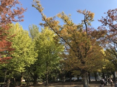 それぞれの。。