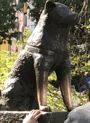 優しさと、せつなさと、、。