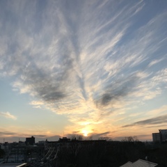 叫び。。