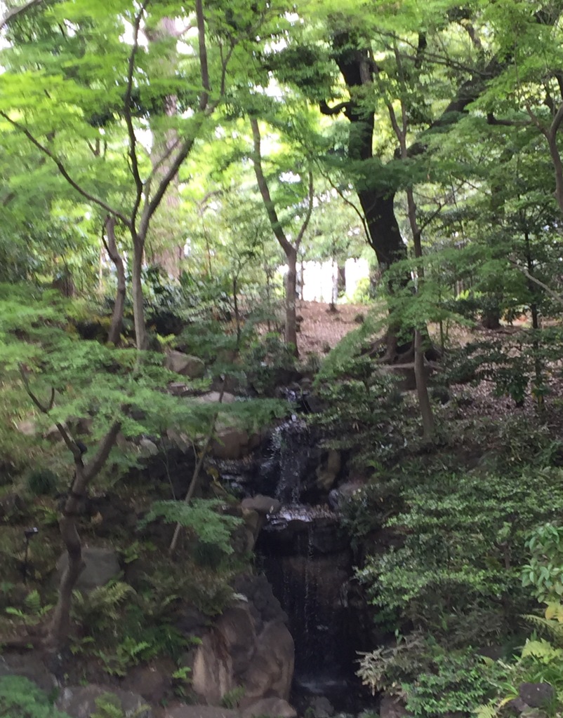 小さいけど、、大滝(^^)  旧古河庭園内