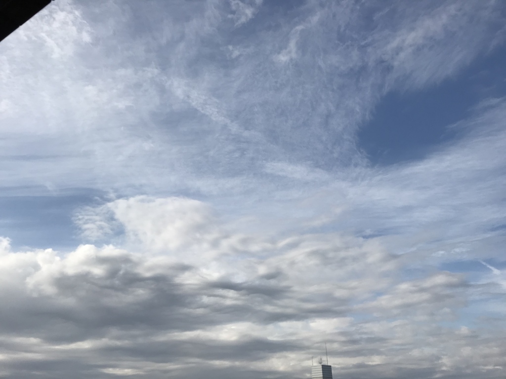 大きな顔があ〜〜(O_O)