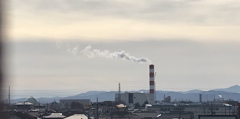 なびく。。。