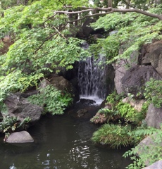 涼のひととき。。(^-^)