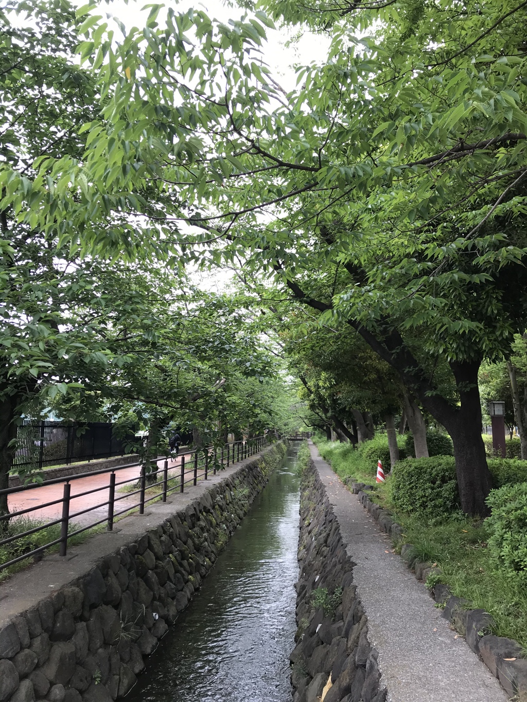 穏やかな時の流れを祈りながら。。