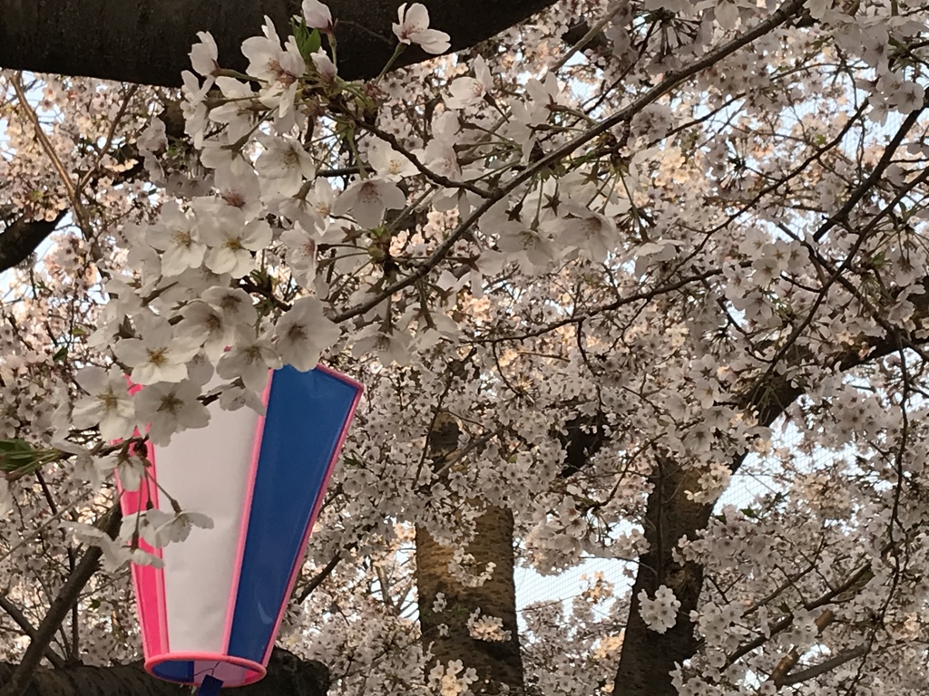 3594B8CE-103C-4924-9A5A-5B72623844EF