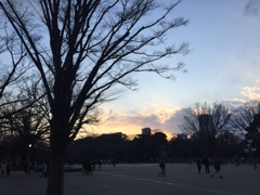公園の夕暮れ。。