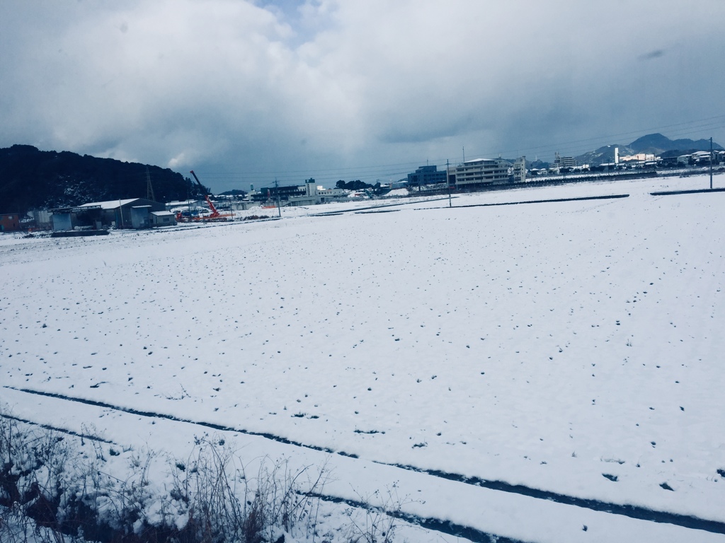 車窓から。。。