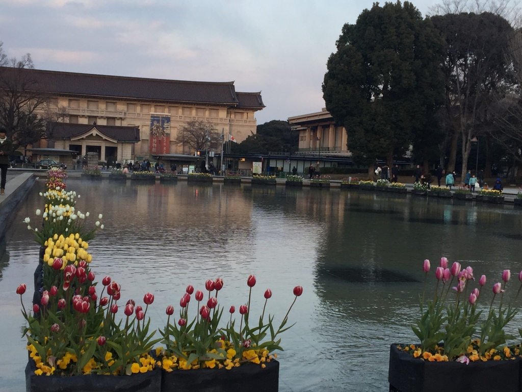 花と水と、、美術館(^-^)