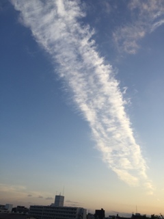 しばらくしたら、、、