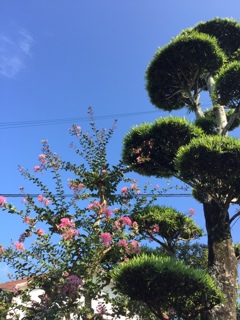 生き生きと(^ ^)