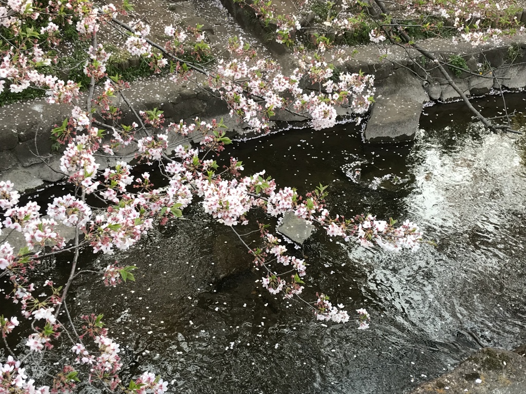 煌めく中に。。(^^)