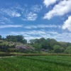 横須賀 アイリスガーデン(^^)