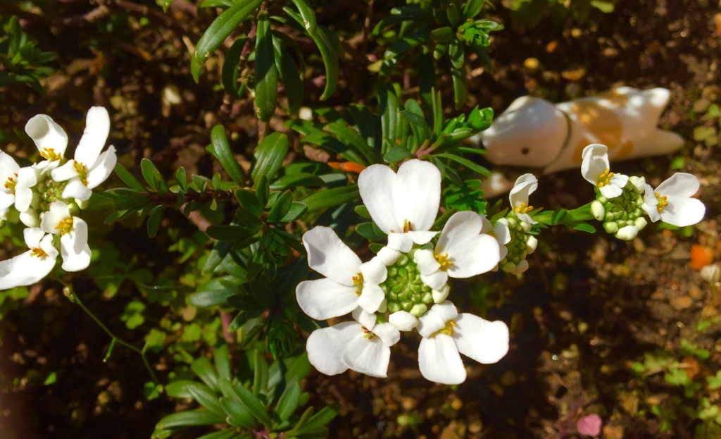 ブライダルブーケ(^^)