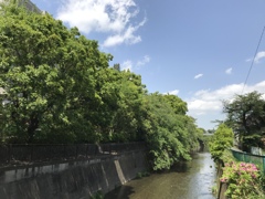 穏やかな景観。。