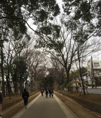 まだまだ続く。。。