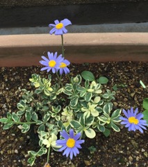 少しずつ。。(^^)