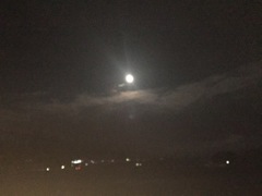夜道散歩からの月(^^)