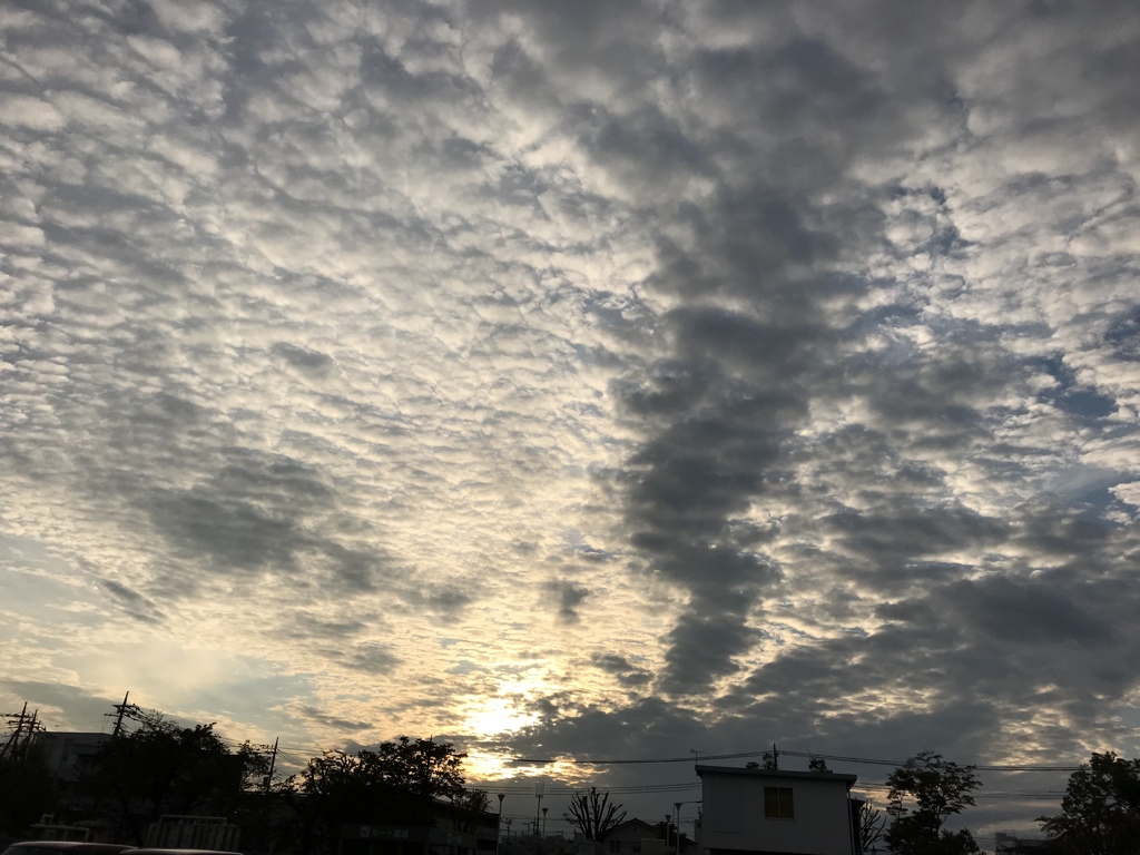 今日のゆうぐれ。。