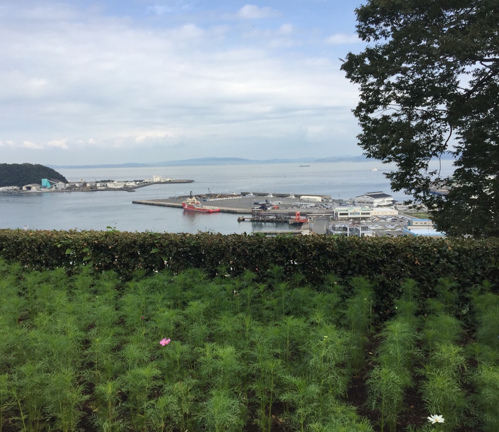 久里浜花の国からの海(^^)