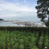 久里浜花の国からの海(^^)