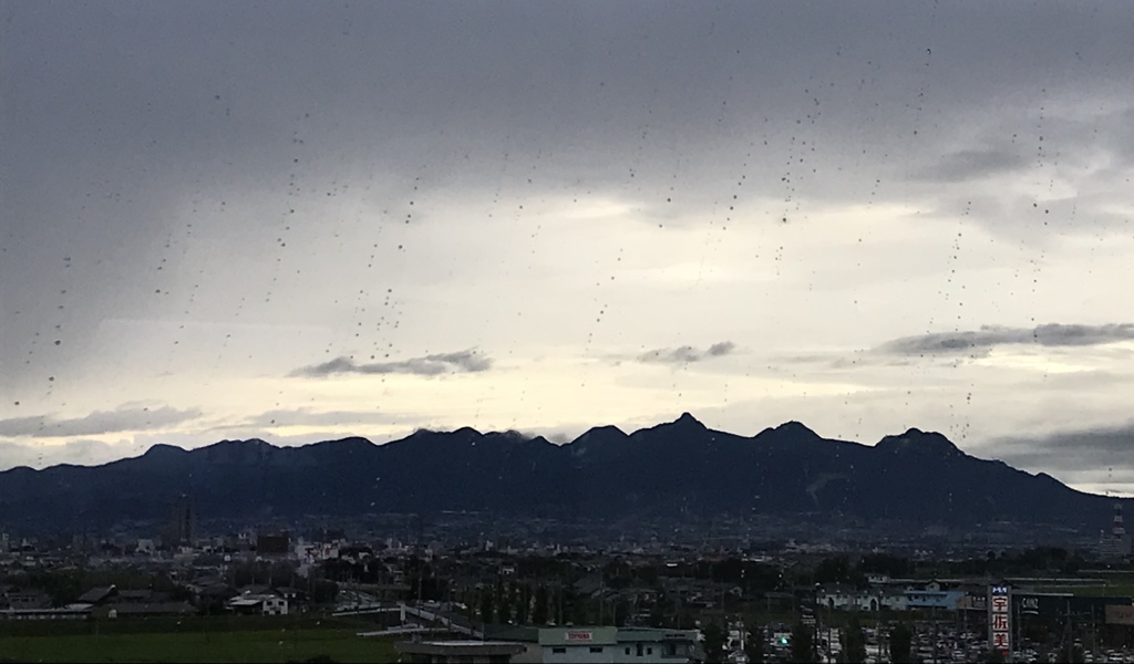 ワニの背中？(^^)