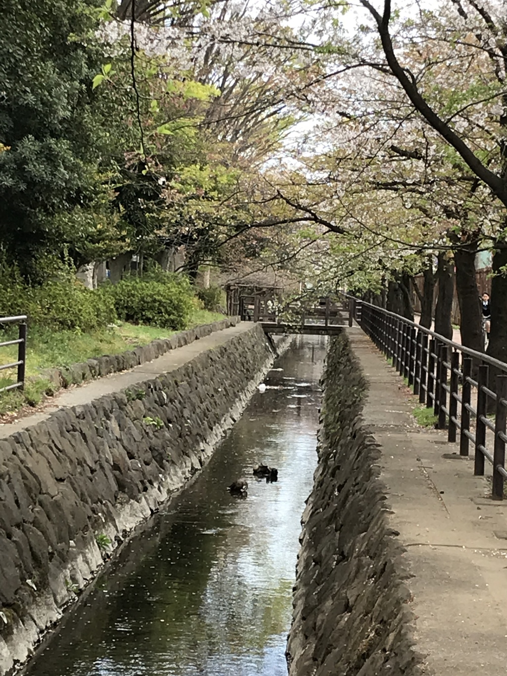 穏やかさを、取り戻し、、(^^)