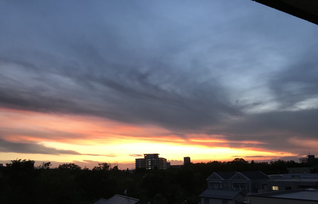 複雑な想いの毎日。。