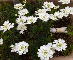 僕からは、みえないなぁ、、(>_<)