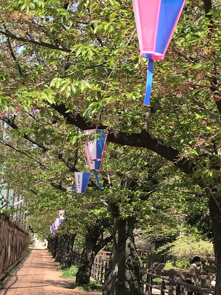 葉桜も、いとおかし