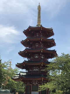 夏も、凛と、、。
