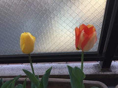 今日も元気に(^-^)