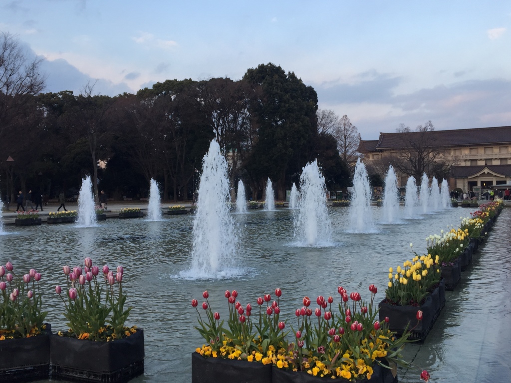 お花の交代(^-^) お気に入りの場所にて。。