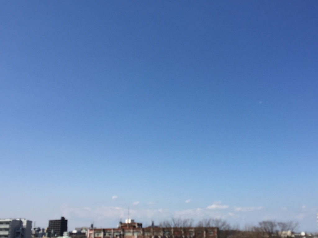 お天気(^-^)  澄んだ空だね(^-^)