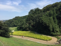 久里浜花の国(^-^)