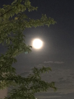 群馬からの月