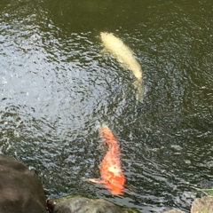 ちょっとしたケンカ？   でも、涼しそう(^-^)