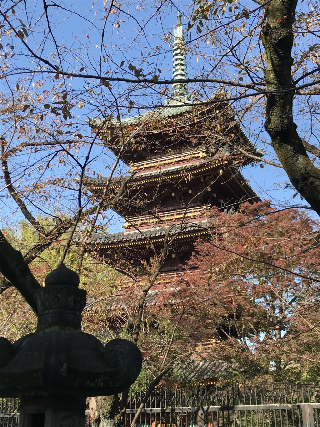 静かに冬を待ち。。