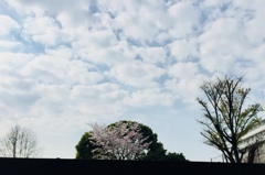 ふと見たら。。。(^ ^)