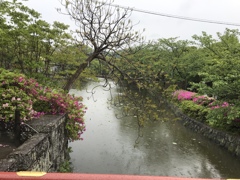 雨の鎌倉。。。