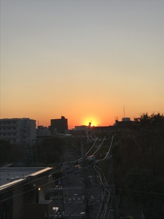 明日も見守ってください。。