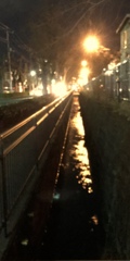 街燈。。。