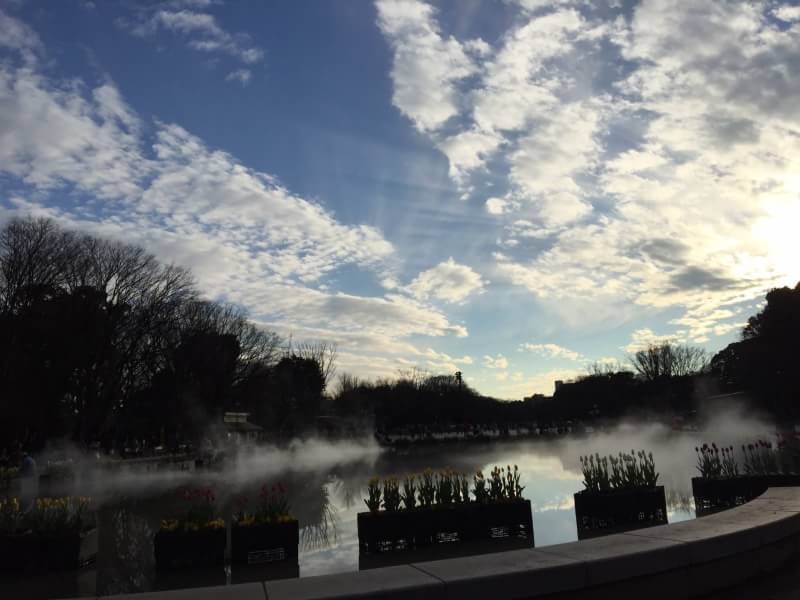 ふつふつと。。光りを求めて。。