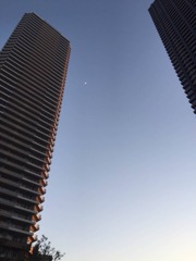 タワーマンションの合間から。。可愛い三日月が。。