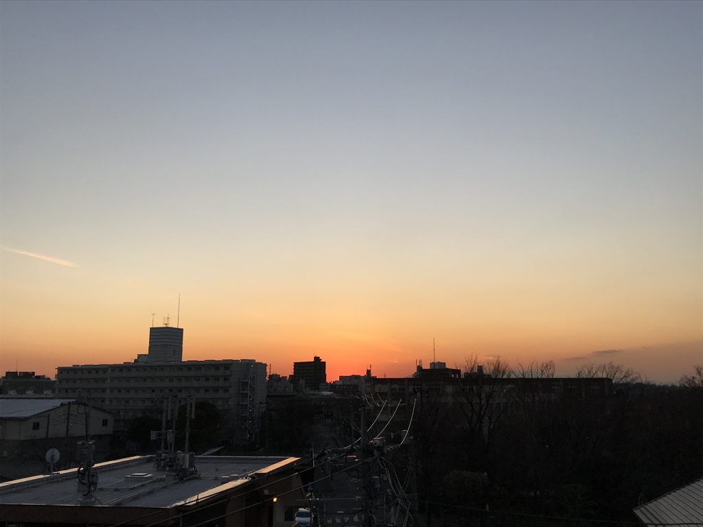 きれいだな。。