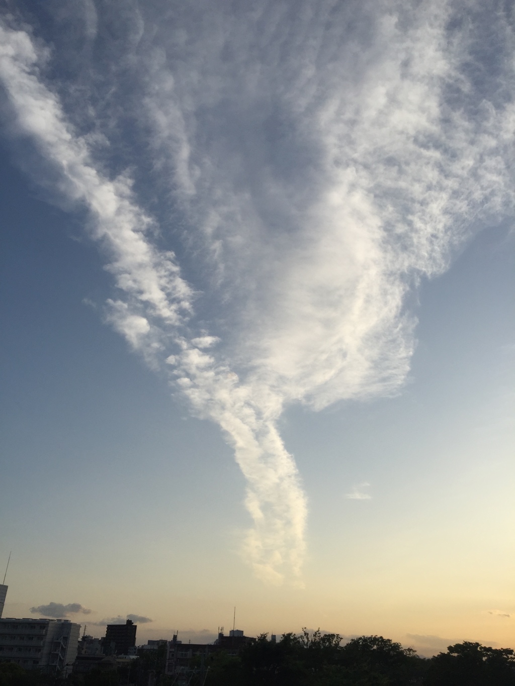 なんか、すごい雲見ちゃいました(O_O)