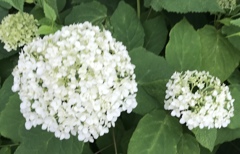 30D11B6E-8222-4C5E-98B5-9A8608178639