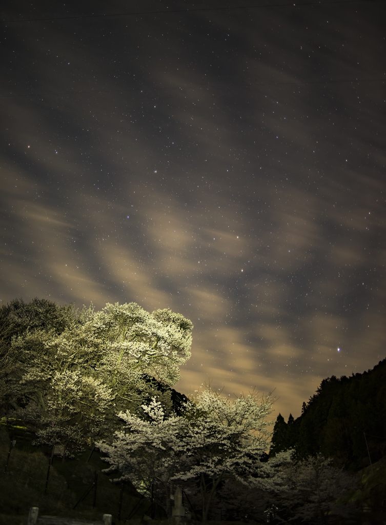 報道ステーション中継前夜の仏隆寺 ^^